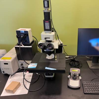 奧林巴斯BX43熒光生物顯微鏡